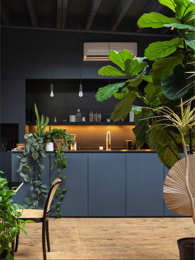 Blue coffee place with plants