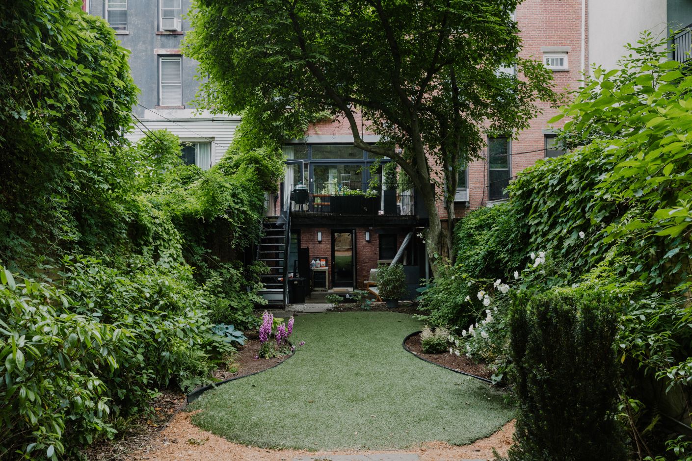 cocoon olympia backyard trees cocoon olympia backyard trees