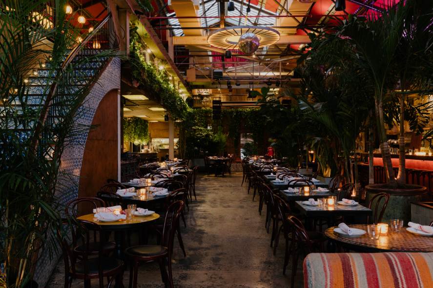 cocoon casa fm bohemian restaurant full of plants at night cocoon casa fm bohemian restaurant full of plants at night