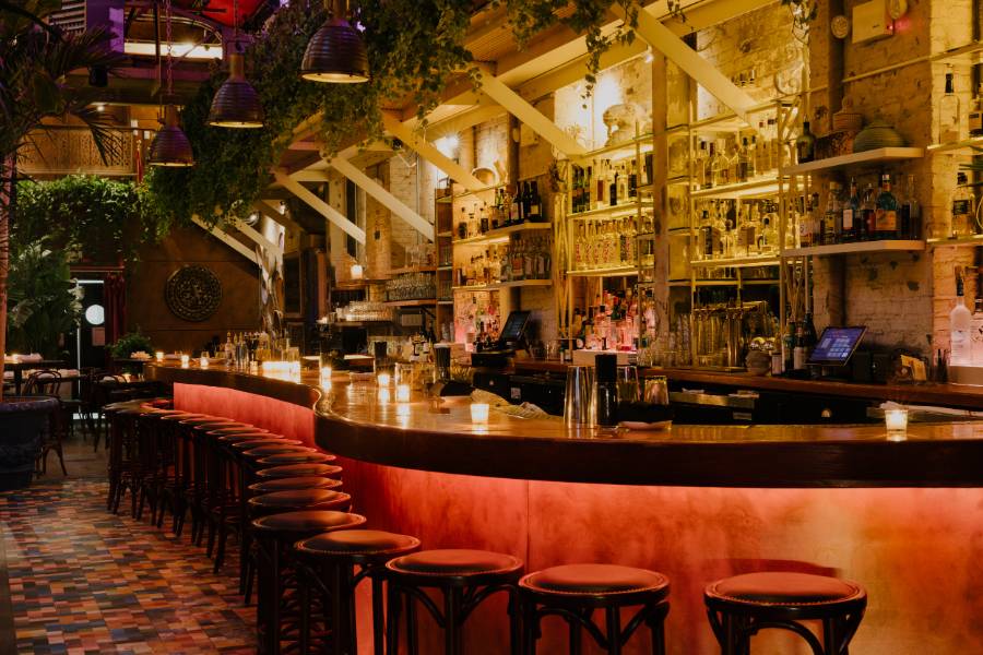 cocoon casa fm huge bohemian restaurant full of plants5 cocoon casa fm huge bohemian restaurant full of plants5